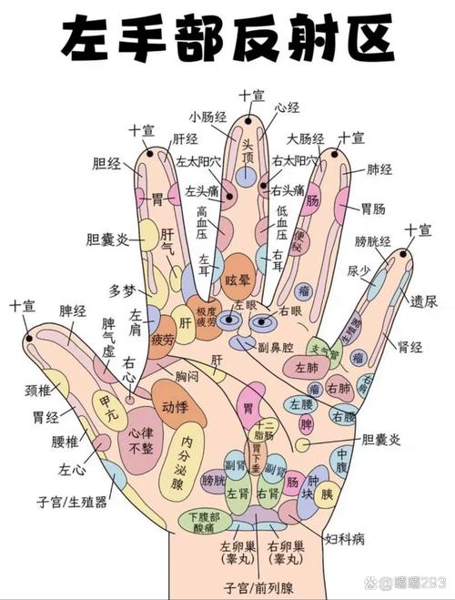 按摩什么穴位可以养生