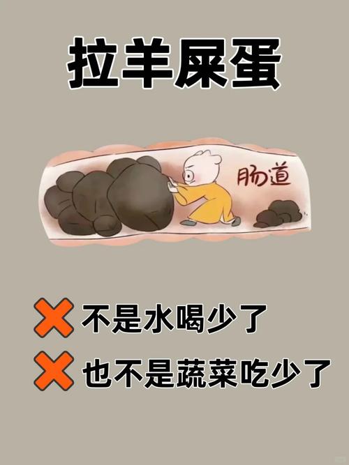 脑梗 流食 大便 多