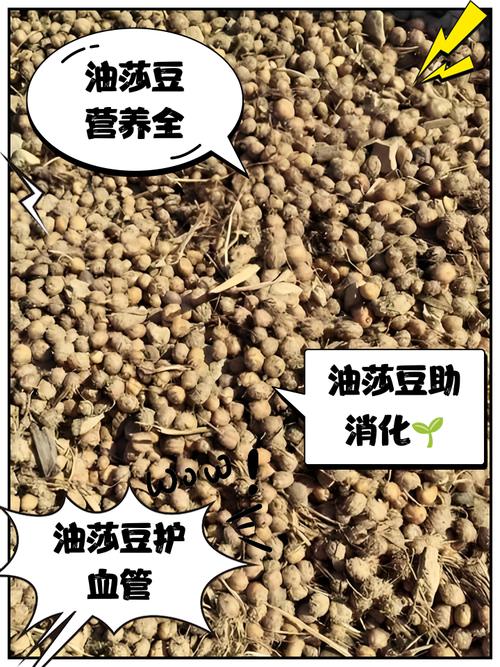 风湿类风湿能吃黄豆吗