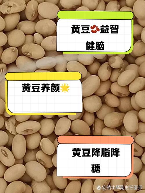 风湿类风湿能吃黄豆吗
