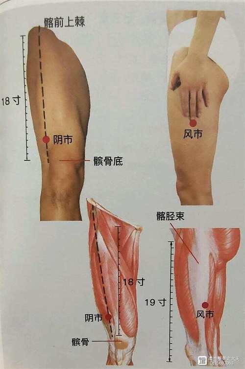 小腿肌肉萎缩针灸穴位