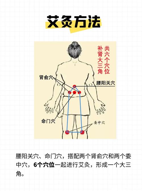 人体哪些穴位可以壮阳