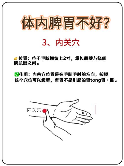 脾胃湿热按摩什么穴位