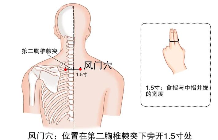 治疗痛风艾灸哪个穴位