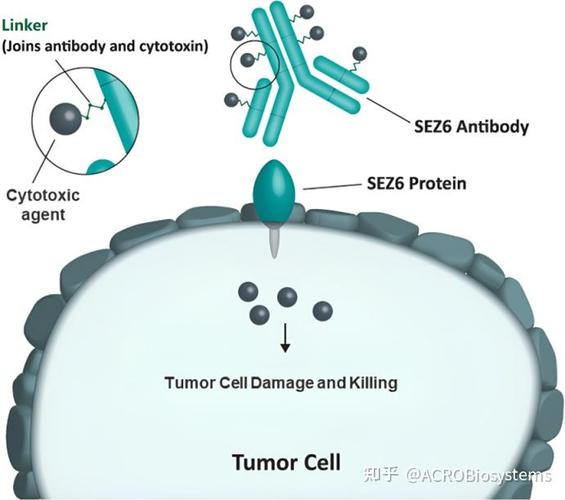 失明 脑梗 靶向细胞