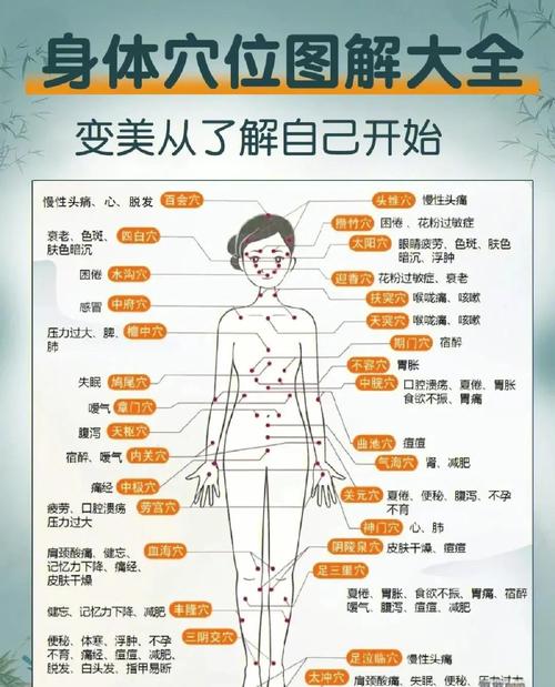 人体穴位经络疗法图解