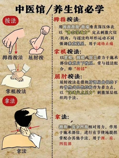 按摩穴位学习入门视频