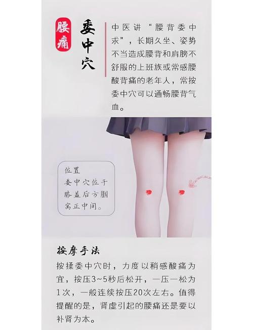 中里巴人讲解经络穴位