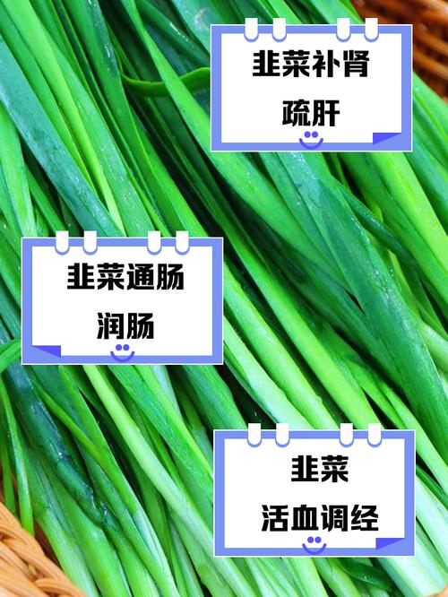 风湿类风湿可以吃韭菜