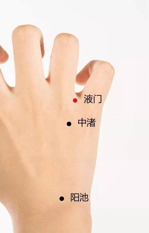 内分泌失调艾灸的穴位