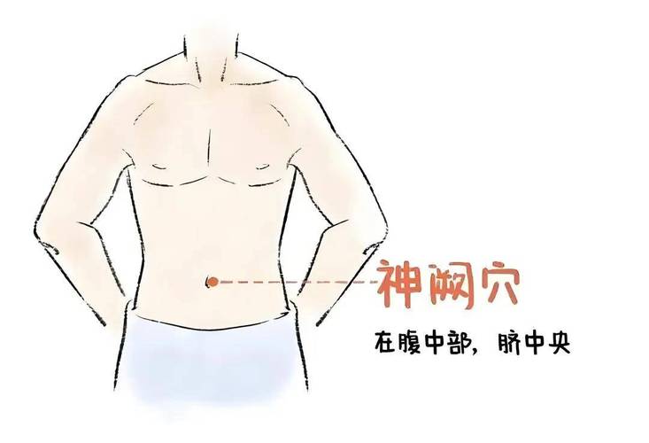 内分泌失调艾灸的穴位