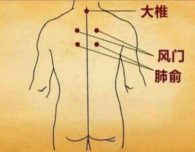 内分泌失调艾灸的穴位