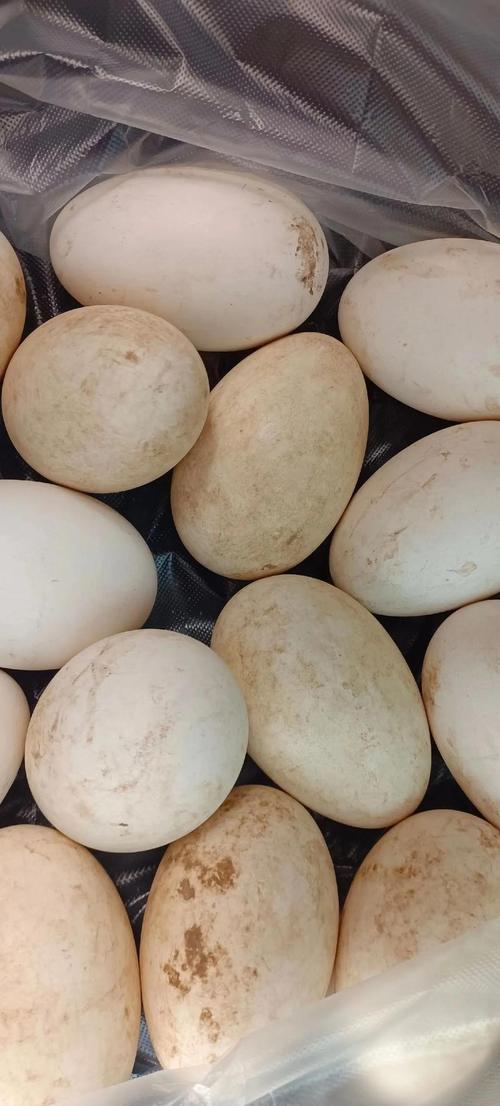 心梗脑梗的老人要吃啥