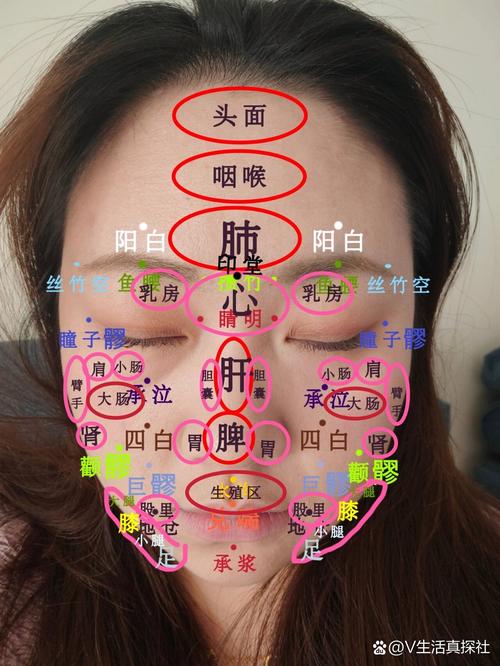 人体面部穴位图解大全