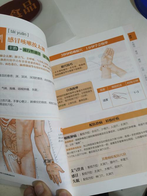 经络穴位按摩速查全书