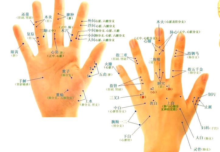 人体手部的穴位有哪些