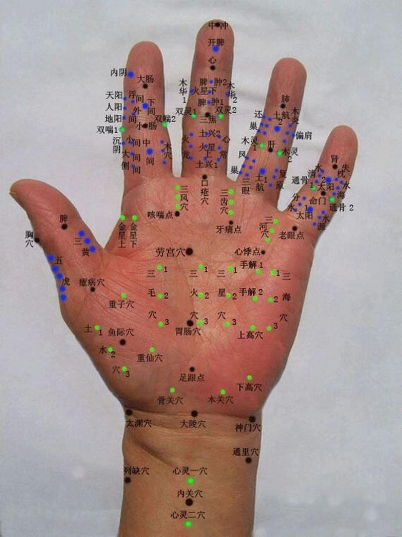 人体手部的穴位有哪些