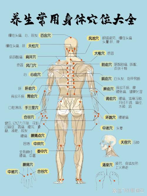 背部穴位图解大全按摩