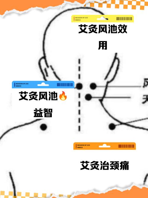 植物神经紊乱艾灸穴位