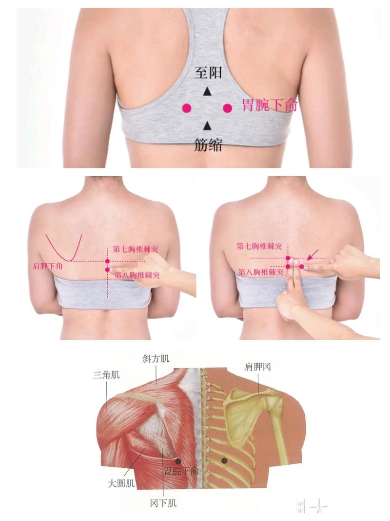 哪个穴位可以缓解胃疼