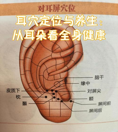 耳朵里面疼按什么穴位