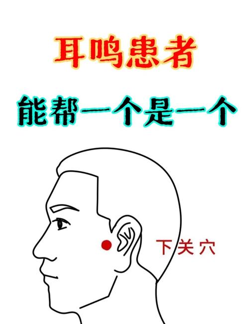 耳朵里面疼按什么穴位