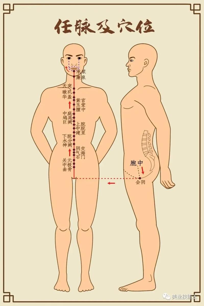 人体穴位图解大全视频