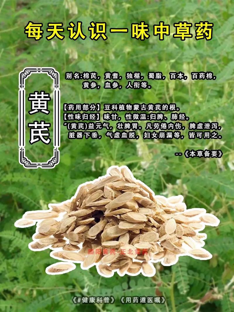 黄芪治疗风湿类风湿吗