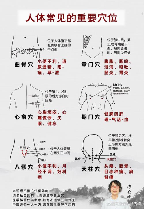 人体最重要的几个穴位