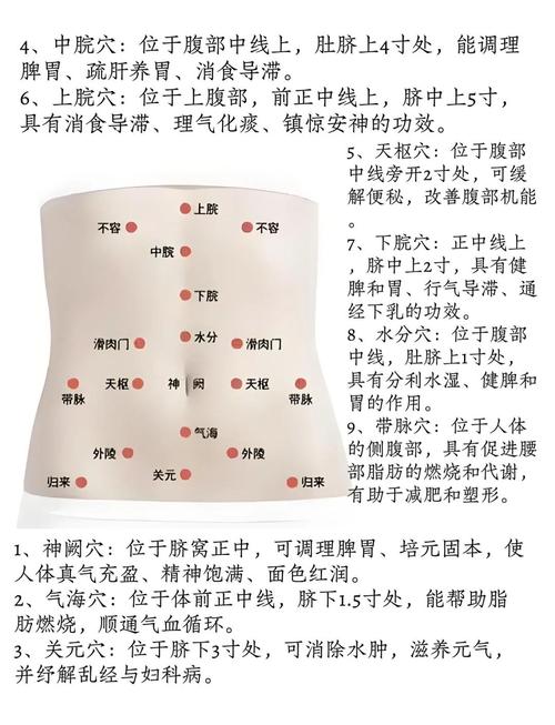 按什么穴位可以减肚子