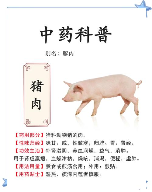 风湿类风湿能吃猪肉吗