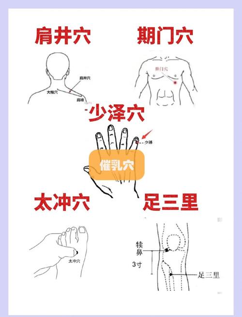 按摩什么穴位可以丰胸