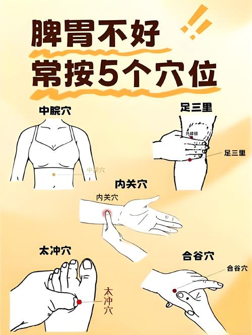 怎么按摩穴位补肾壮阳