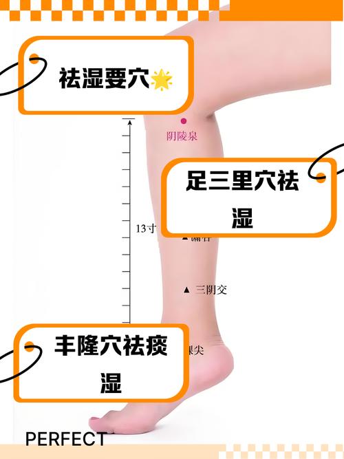 艾灸哪个穴位可以除湿