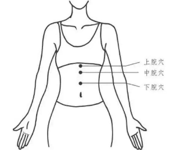 脾胃不好艾灸什么穴位