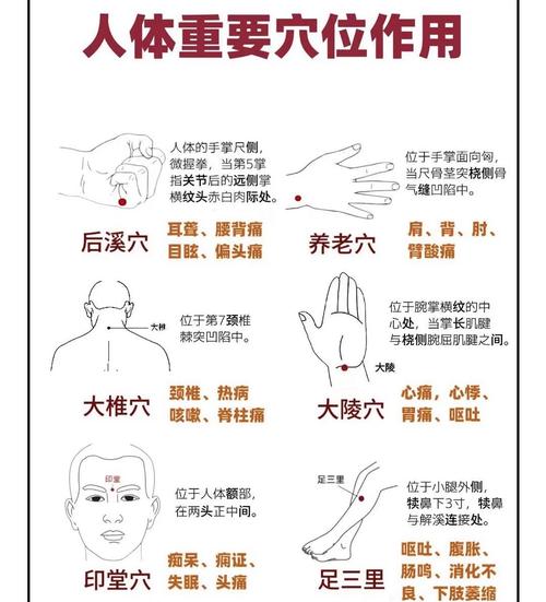 人体特效穴位使用手册