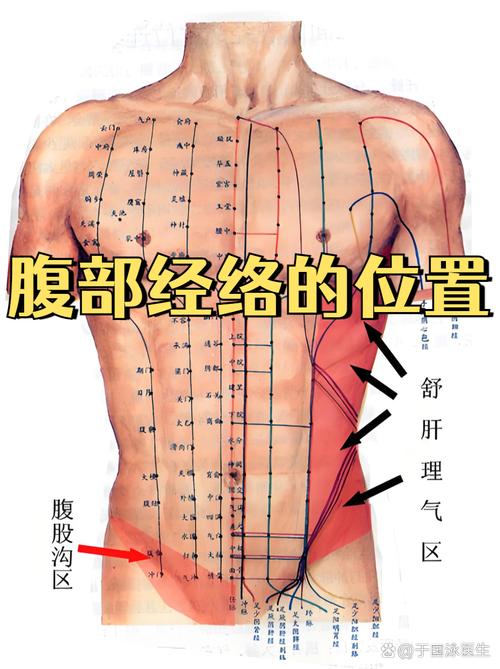 人体经络穴位图 女性
