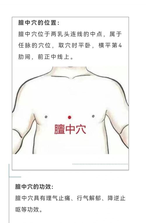 位于人体胸部的穴位是