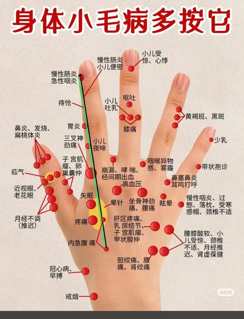 拇指和食指之间的穴位