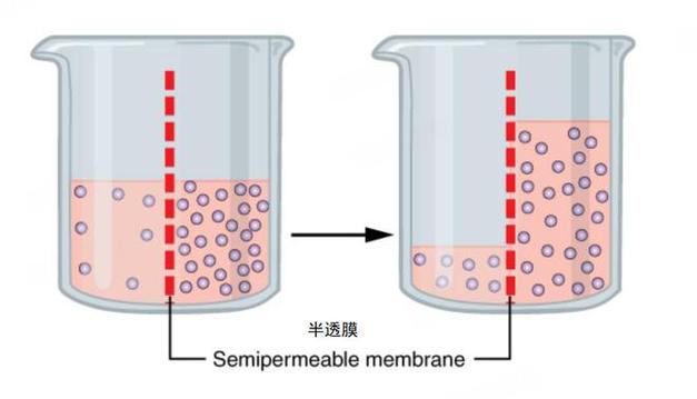 生物离子穴位渗透系统