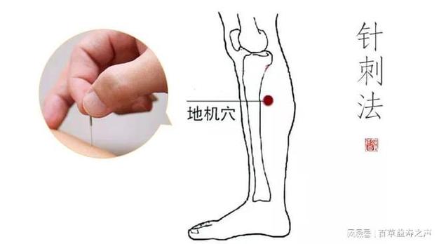 治疗按摩阴道炎的穴位