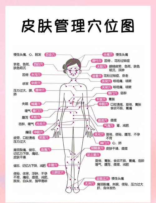 人体穴位位置图及作用