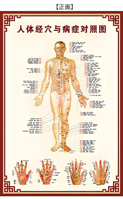 人体经络穴位图 下载