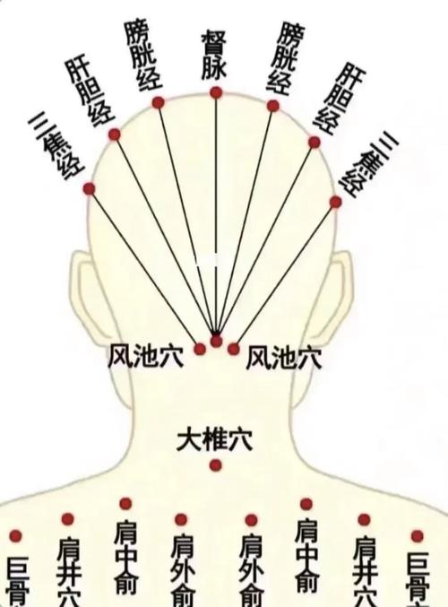 治疗颈椎病的针灸穴位