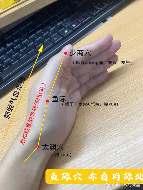 食指与中指之间的穴位