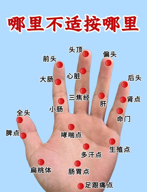 食指与中指之间的穴位