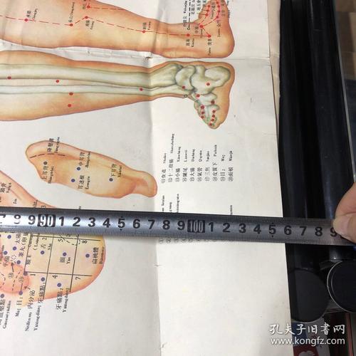 国家标准针灸穴位挂图