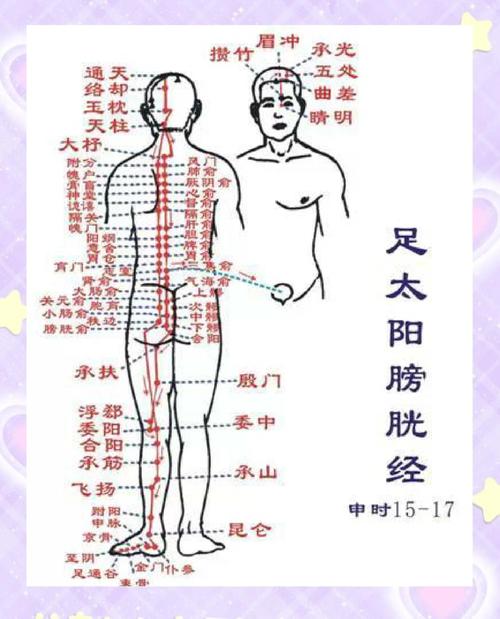 膀胱经上最重要的穴位