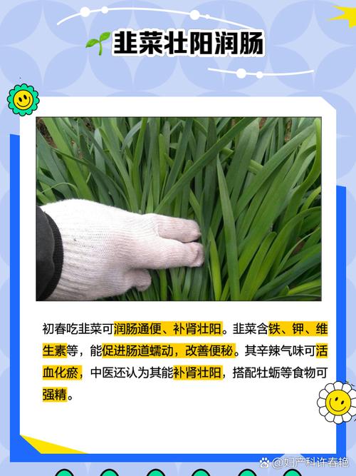 脑梗心梗可以吃韭菜吗