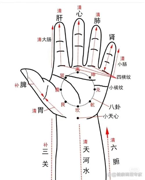 小儿推拿手部穴位图片